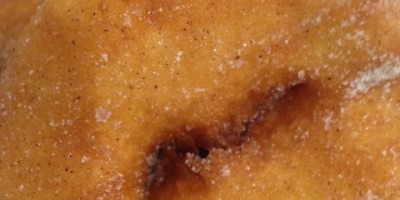 DomNuts Sydney's best doughnuts