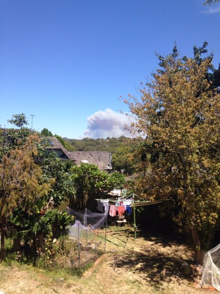 DomNuts Sydney's best doughnuts