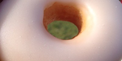 Sydney's best doughnuts