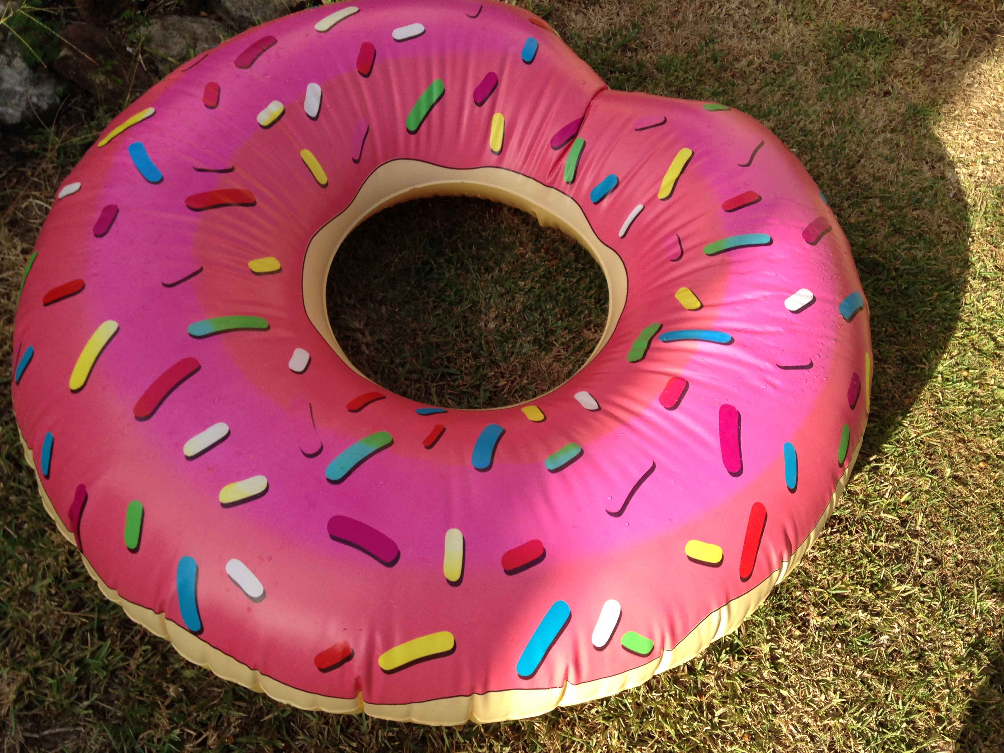 Inflatable Doughnut – DomNuts