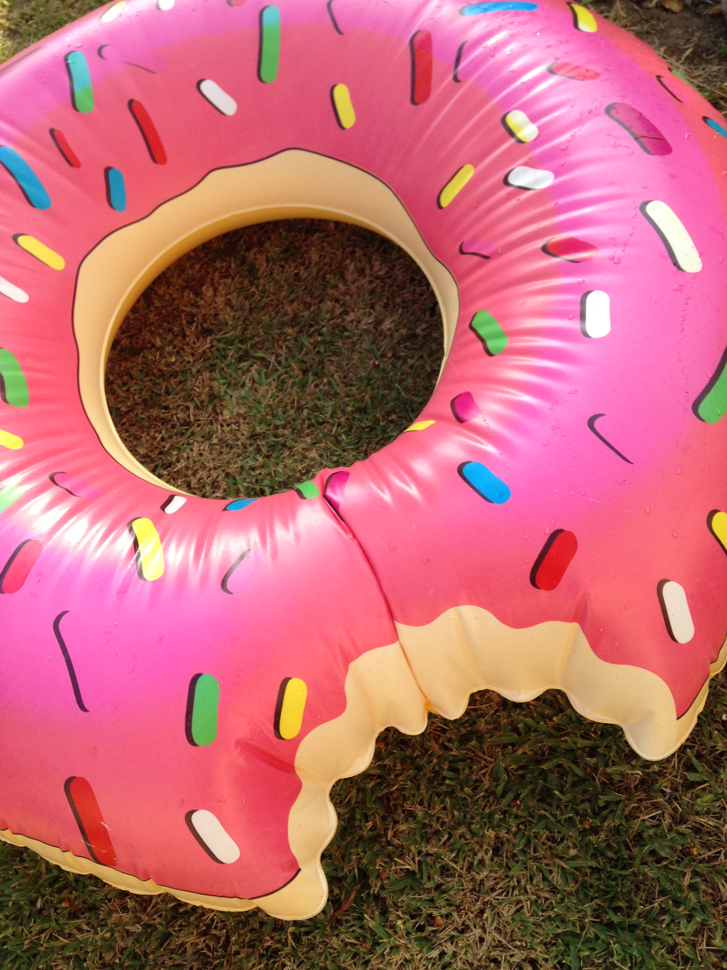 Square Inflatable Donut Inflatable Doughnut – DomNuts